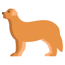 external bernese-mountain-dog-breeds-icongeek26-flat-icongeek26 icon