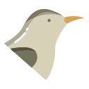 external bird-birds-icongeek26-flat-icongeek26-1 icon