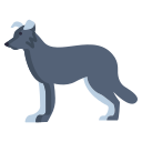 external border-collie-dog-breeds-icongeek26-flat-icongeek26 icon