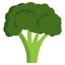 external broccoli-vegetables-icongeek26-flat-icongeek26 icon