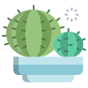 external cactus-cactus-icongeek26-flat-icongeek26-2 icon
