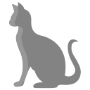 external cat-animal-body-icongeek26-flat-icongeek26 icon