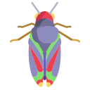 external cicada-bugs-and-insects-icongeek26-flat-icongeek26 icon