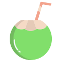 external coconut-drink-india-icongeek26-flat-icongeek26 icon