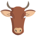 external cow-animal-faces-icongeek26-flat-icongeek26 icon