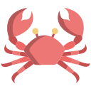 external crab-tropical-icongeek26-flat-icongeek26 icon