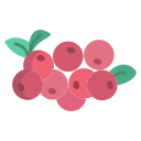 external cranberry-fruits-icongeek26-flat-icongeek26 icon