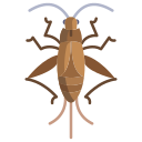 external cricket-bugs-and-insects-icongeek26-flat-icongeek26 icon