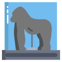 external gorilla-museum-icongeek26-flat-icongeek26 icon