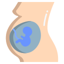 external pregnancy-pregnancy-amp-maternity-icongeek26-flat-icongeek26 icon