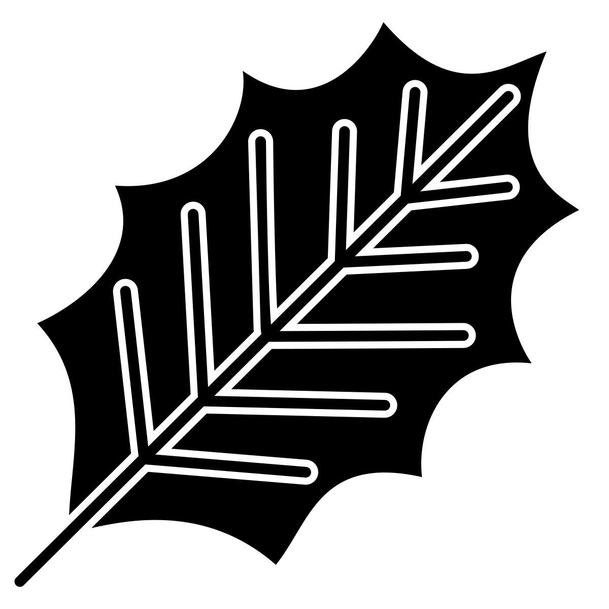 american holly leaf icon