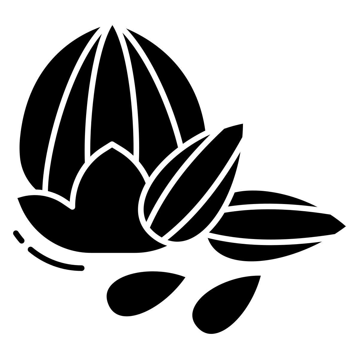 badam and walnut icon