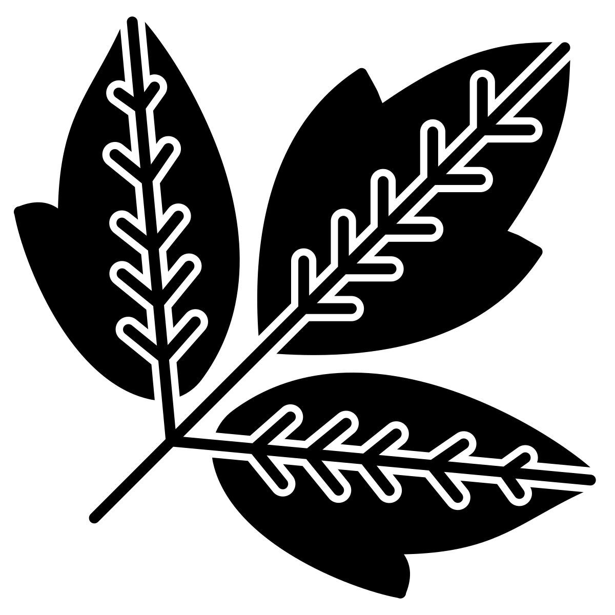 folha de sabugueiro icon