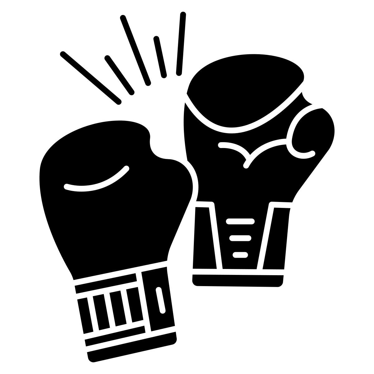 boxing icon