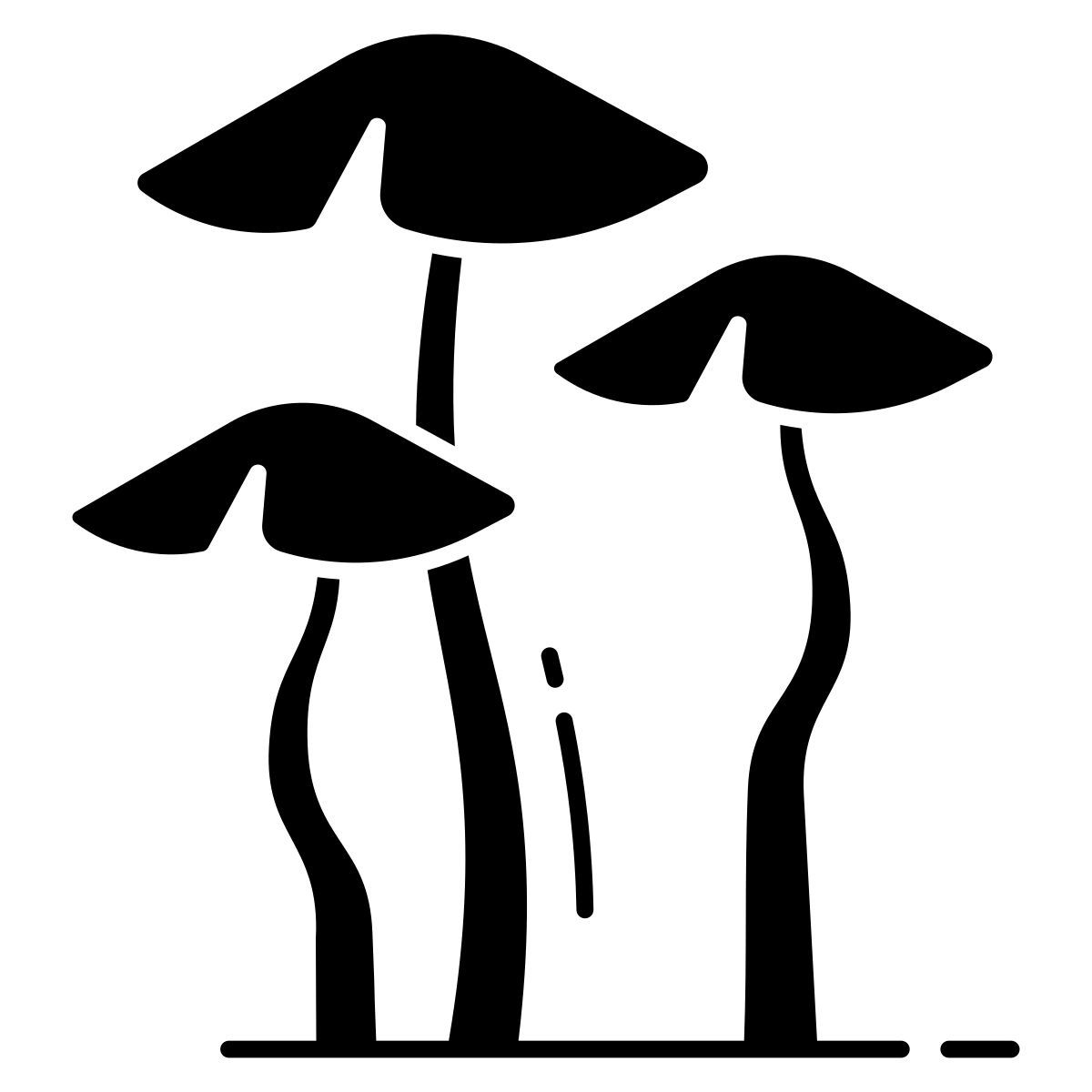 棕帽牛肝菌 icon