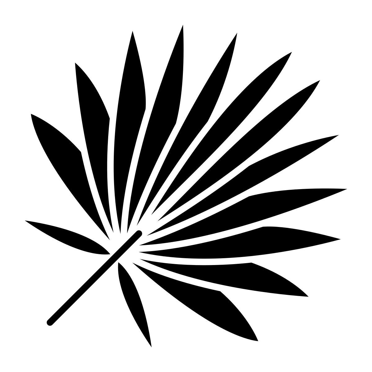cabbage palmetto leaf icon