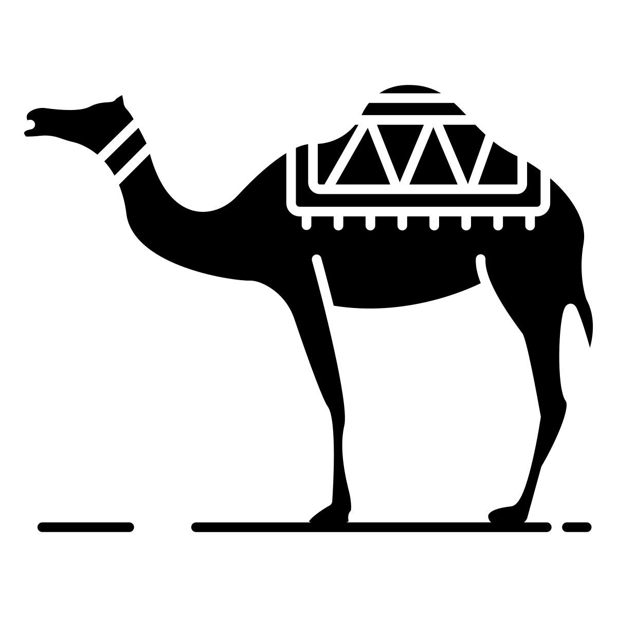 camel icon