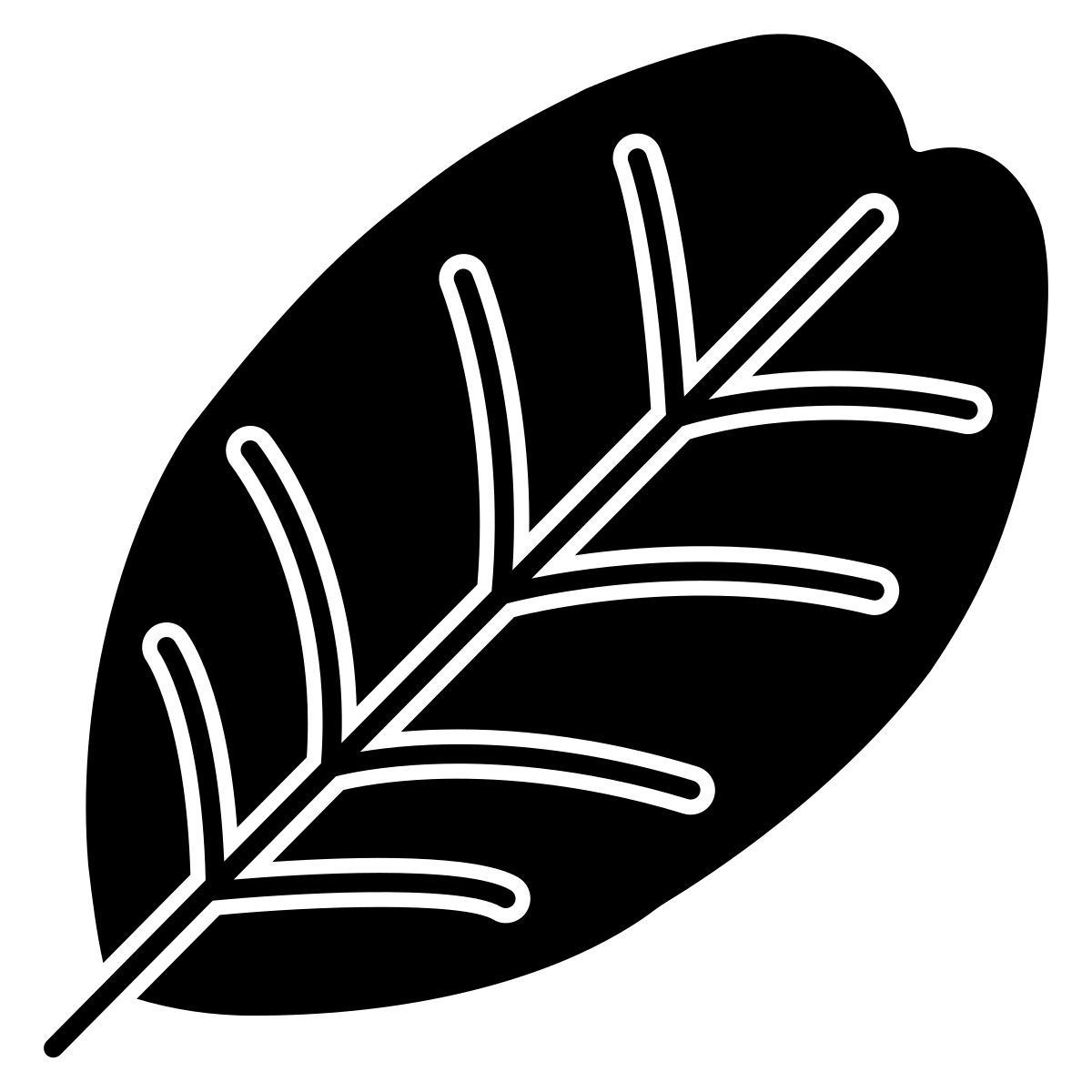 carob tree leaf icon