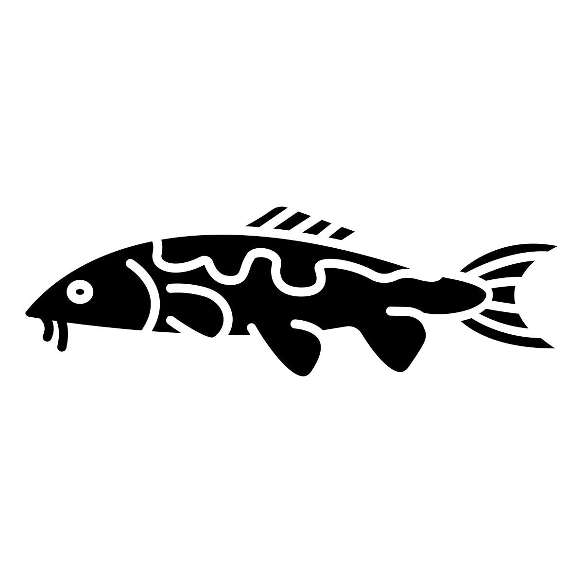 carpa koi icon