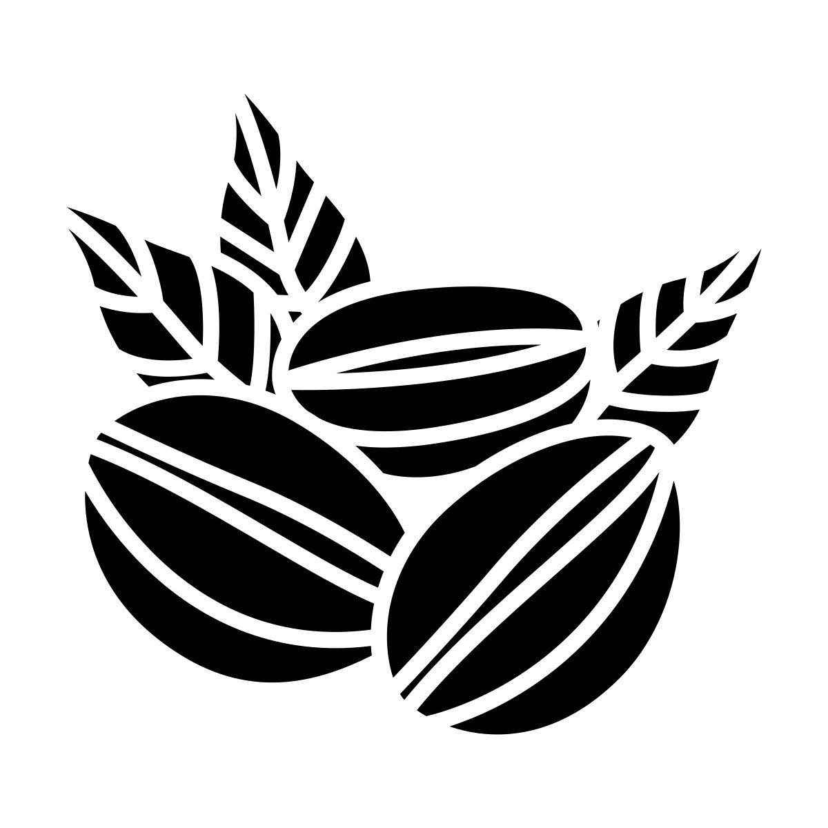 coffee beans icon