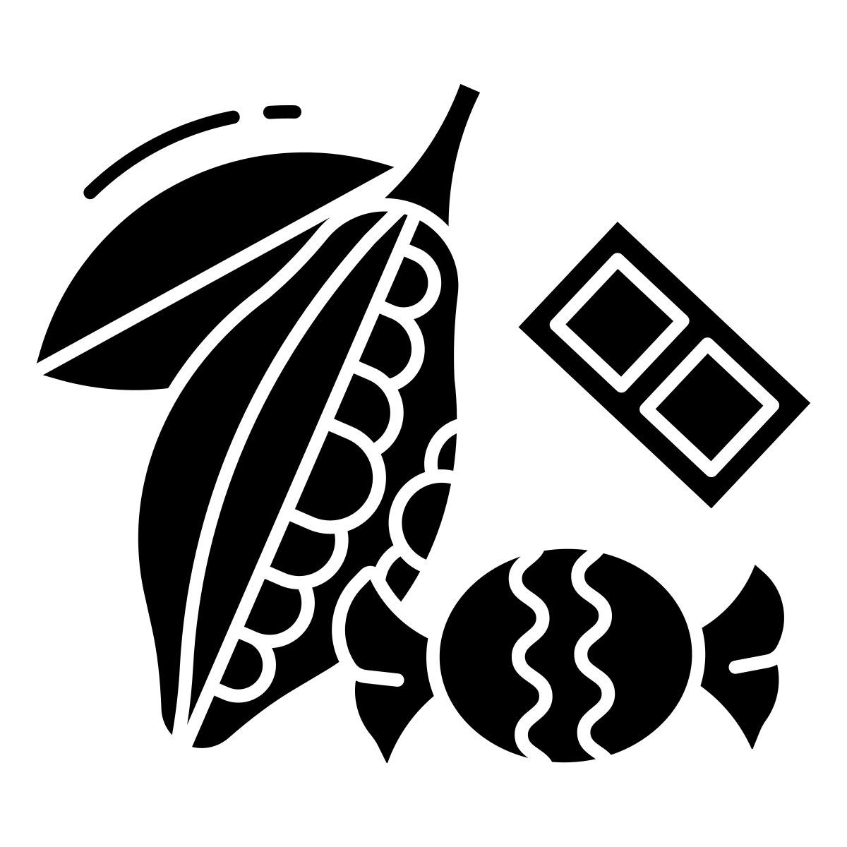 dark chocolate and cocoa powder icon
