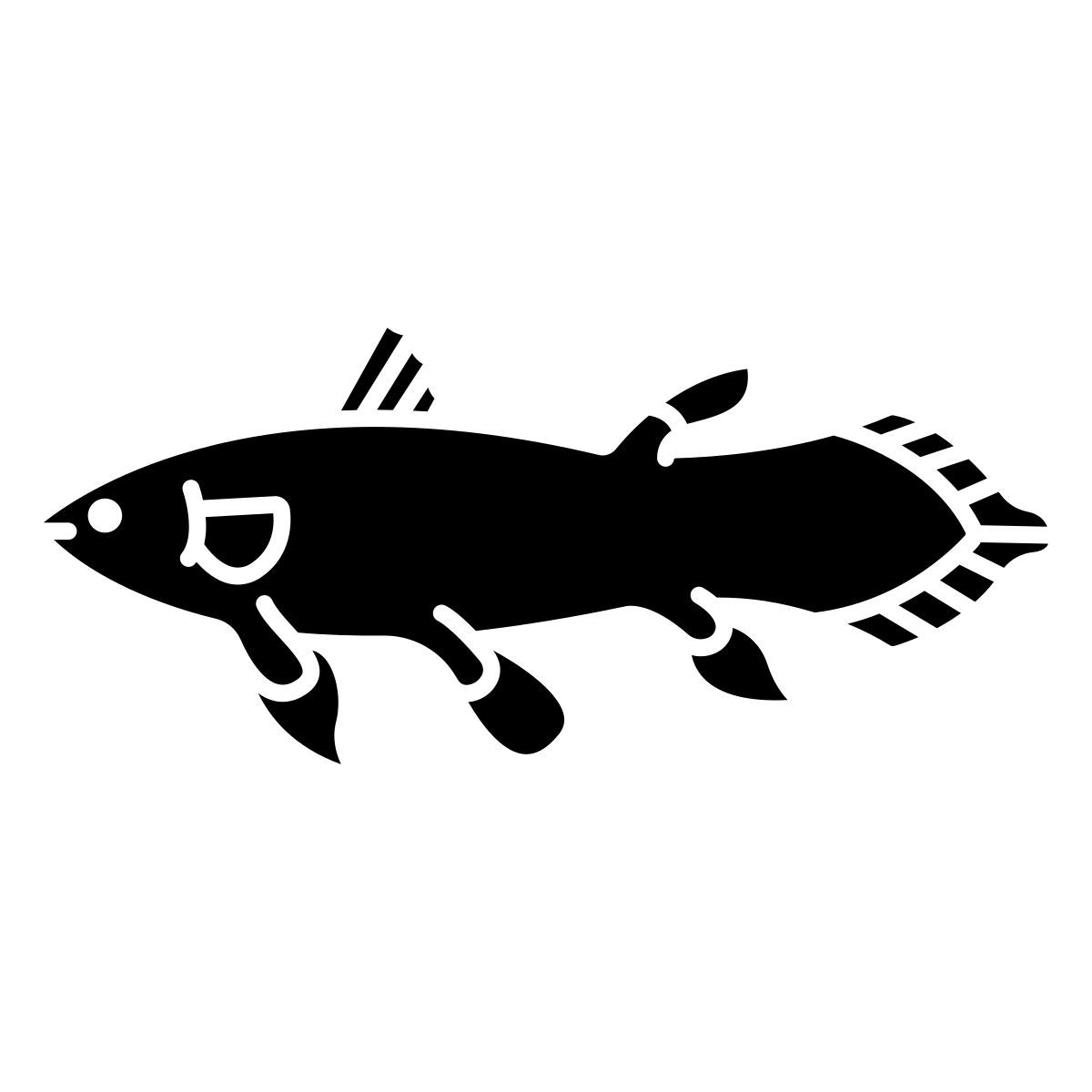 fish icon