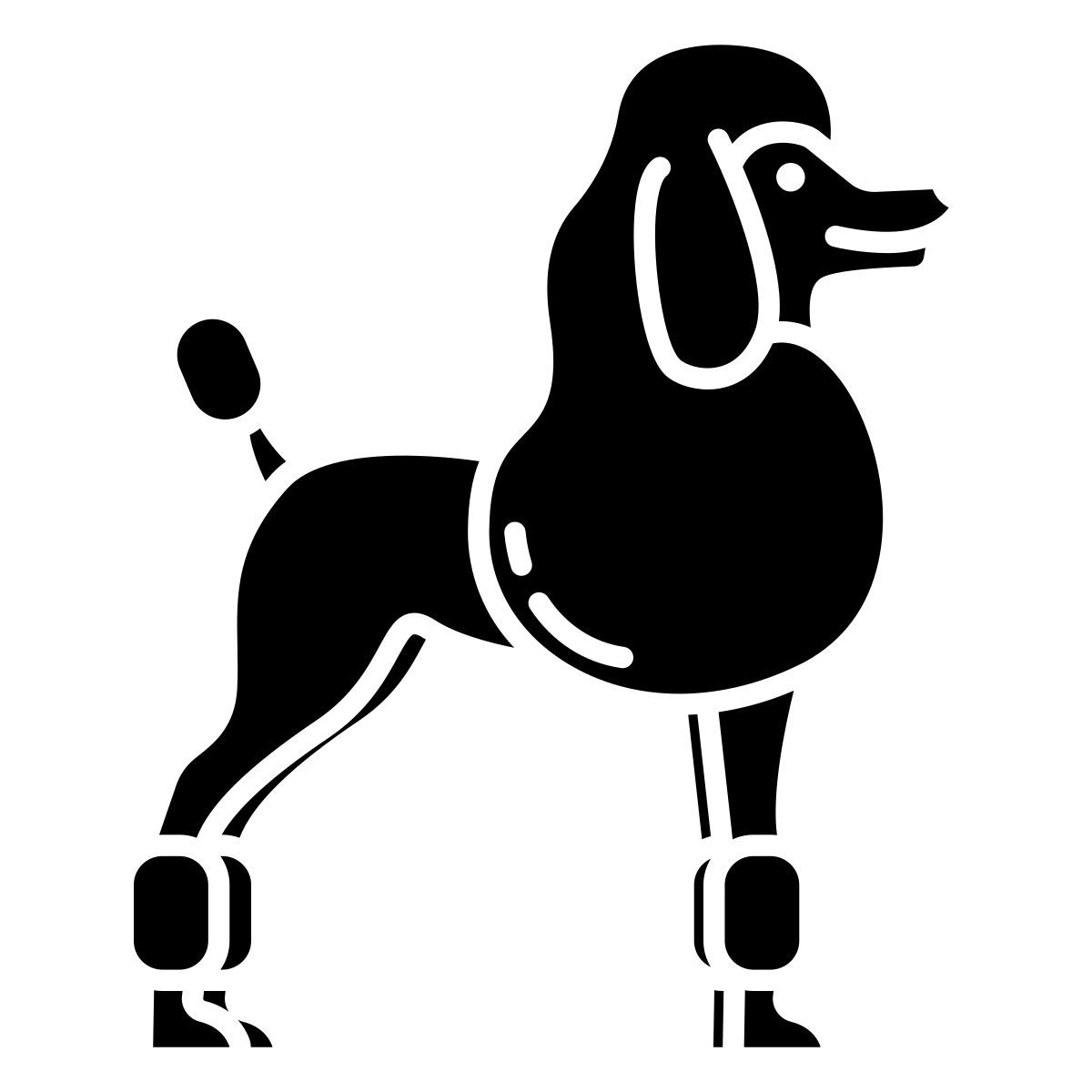 french poodle icon