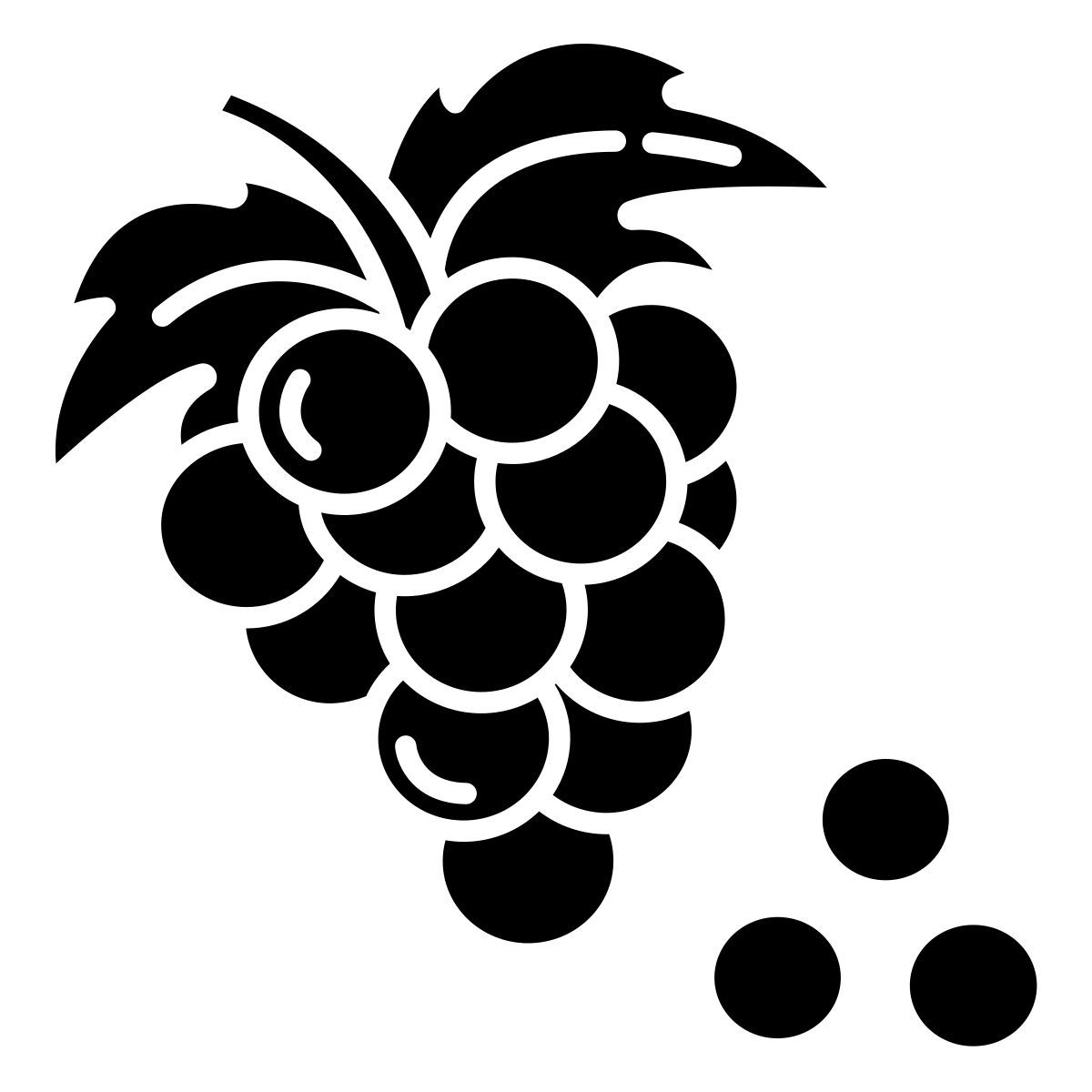 grapes icon