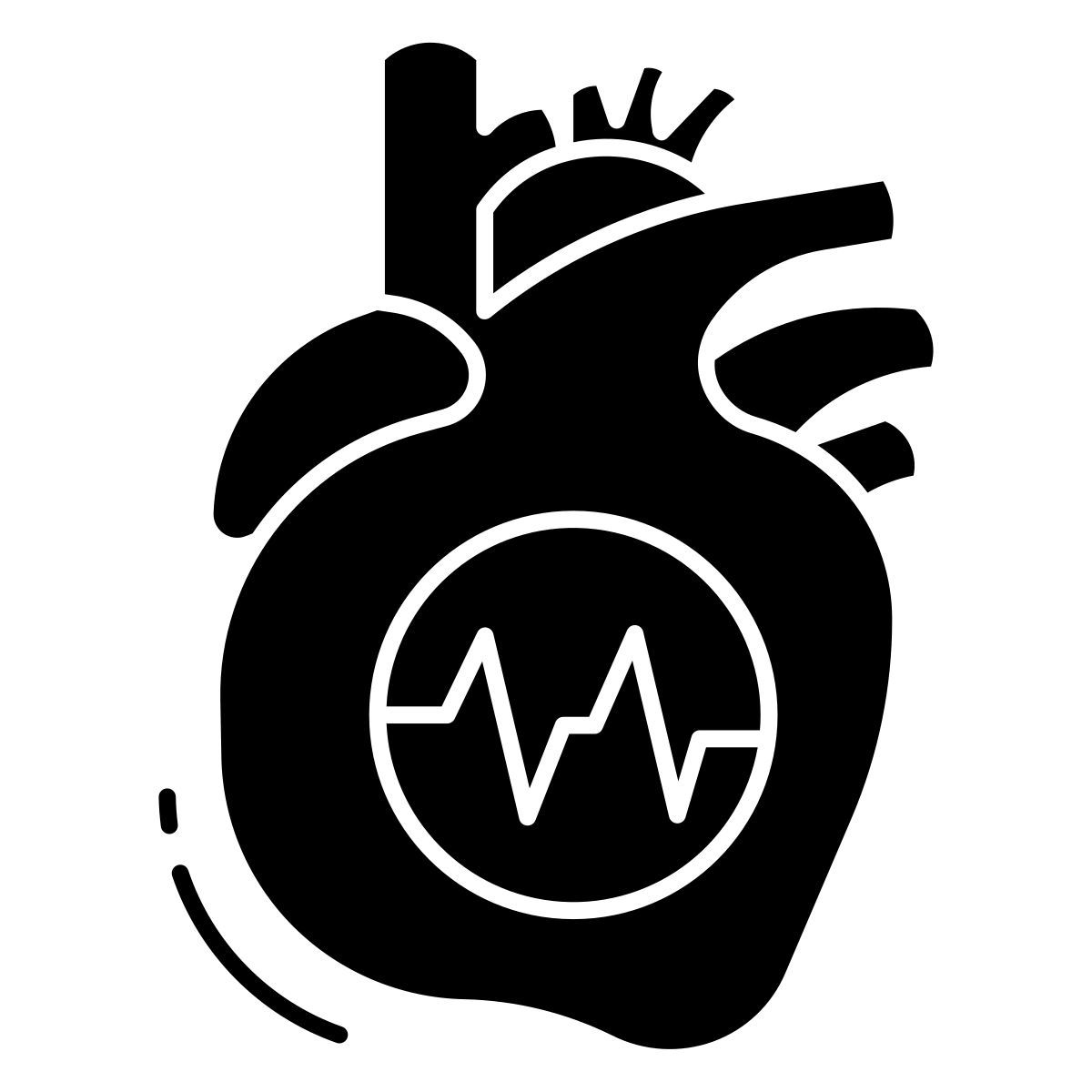 heart disease icon