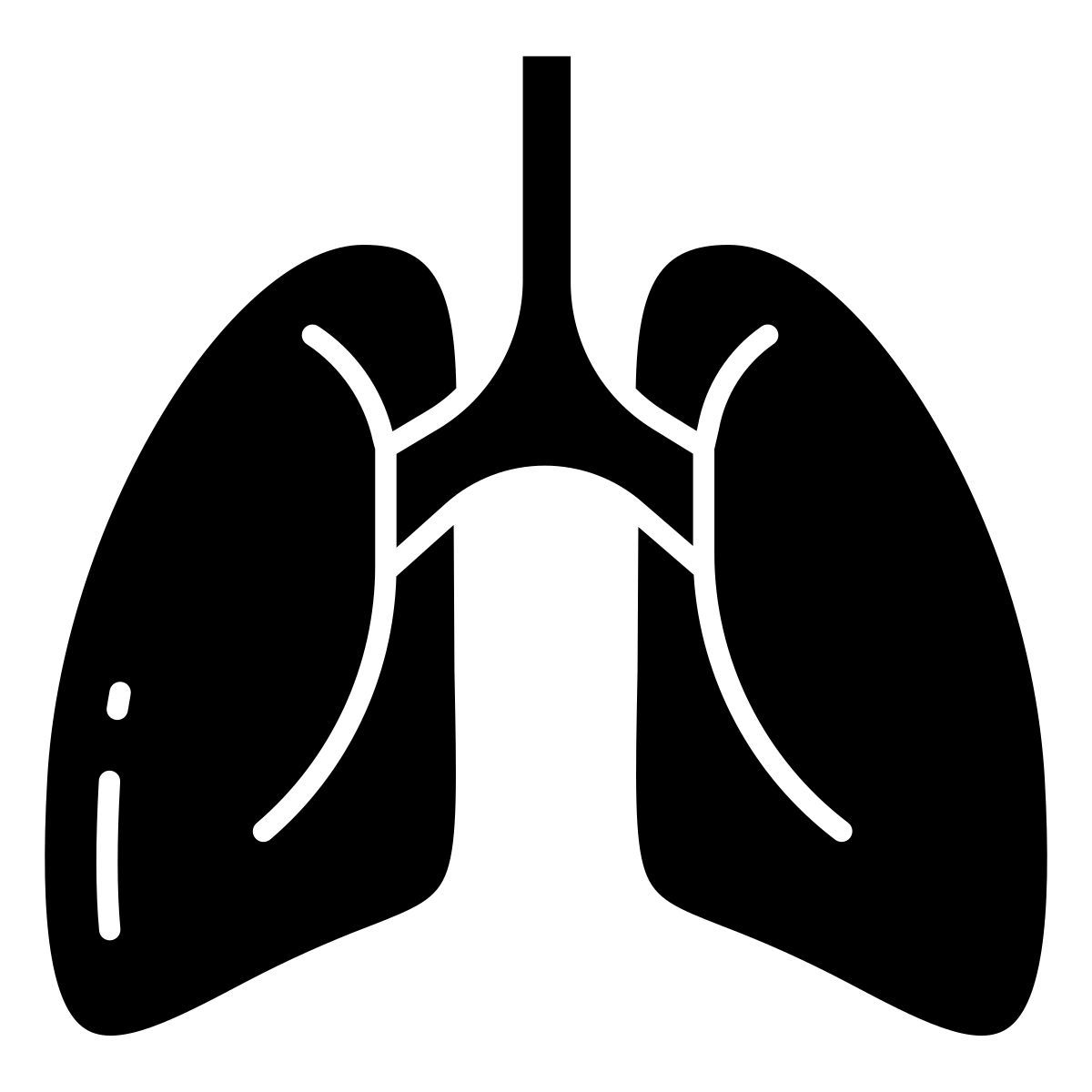 lungs icon