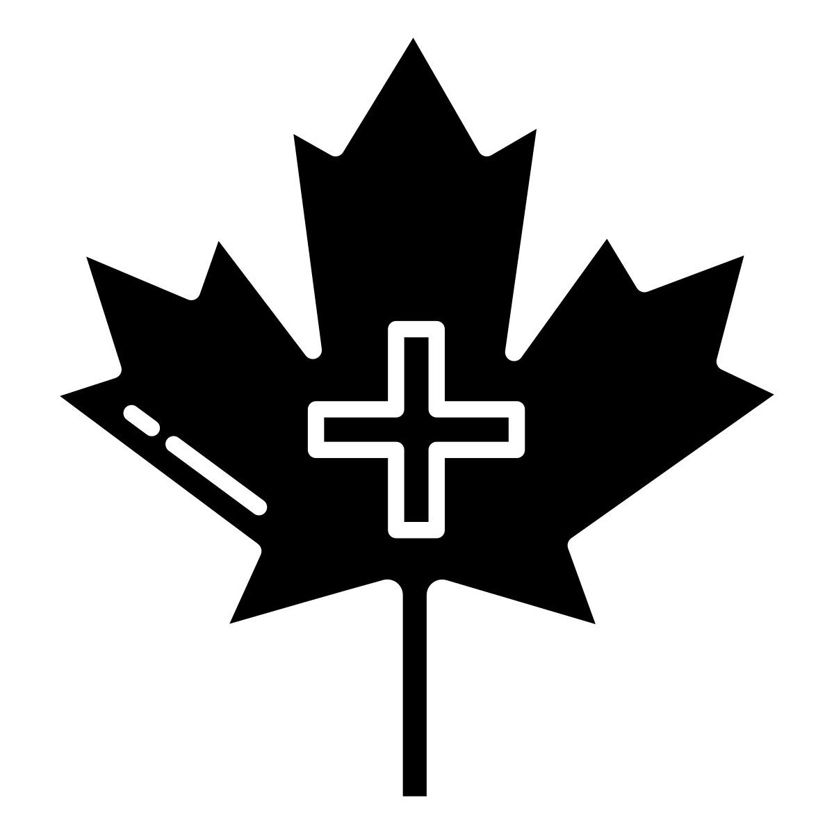 medical support icon