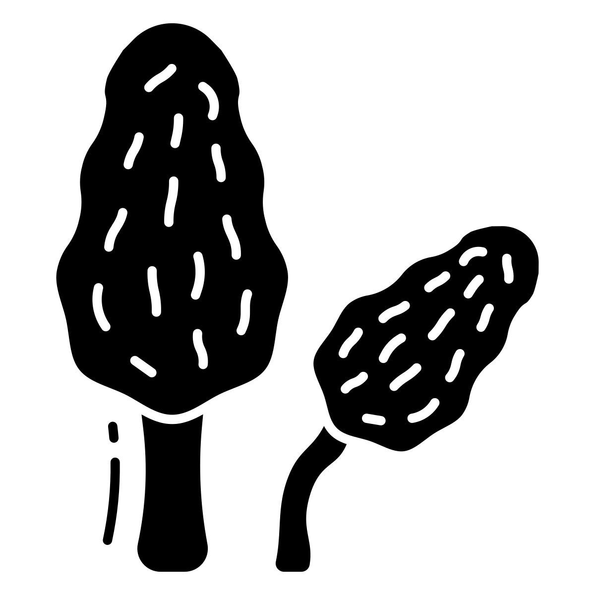 morel mushroom icon