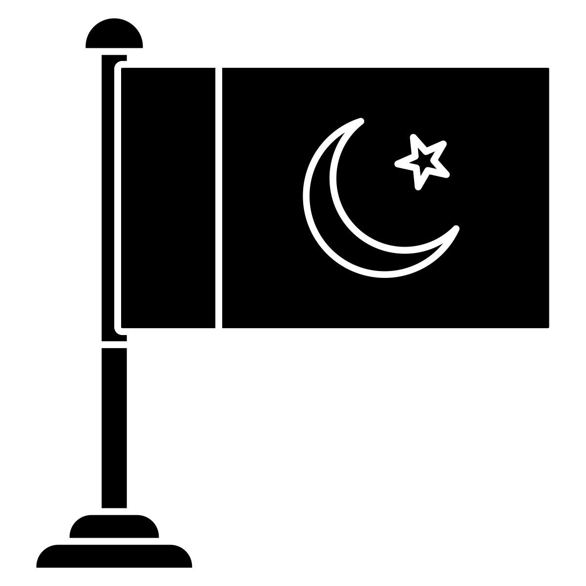 pakistan flag icon