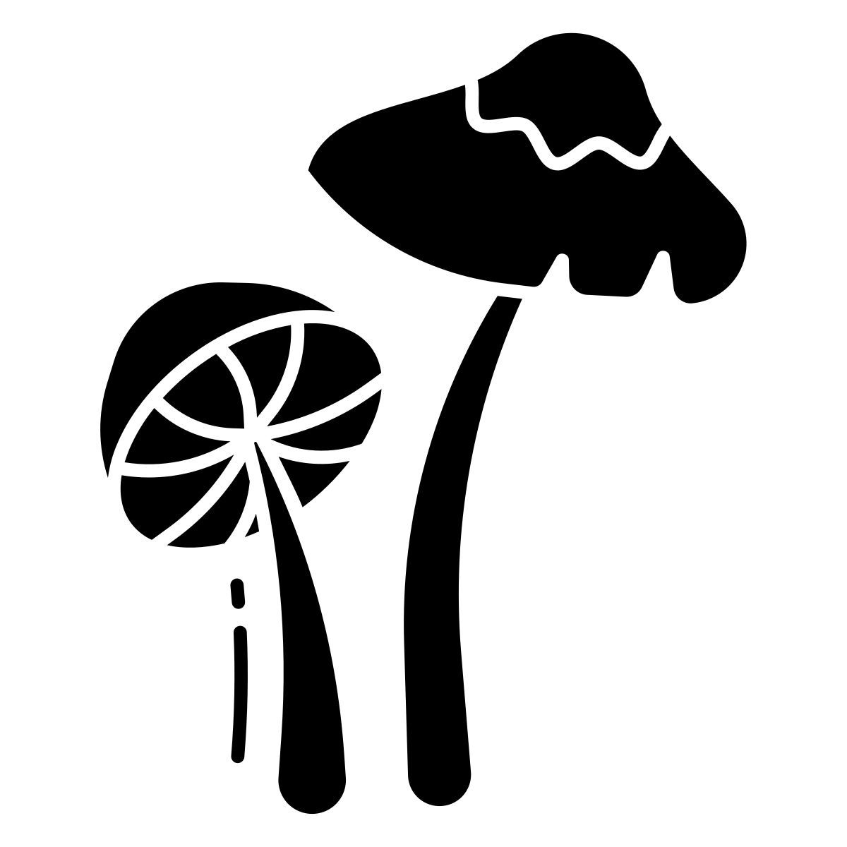 parasole icon