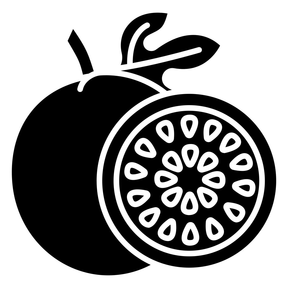Passion Fruit icon