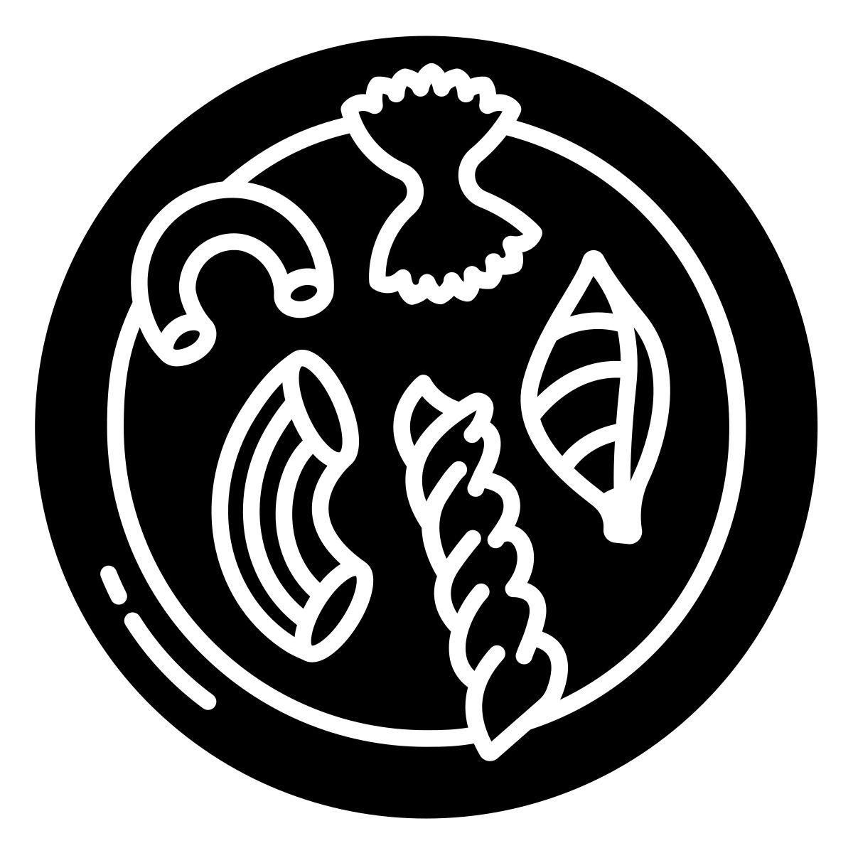 pasta icon