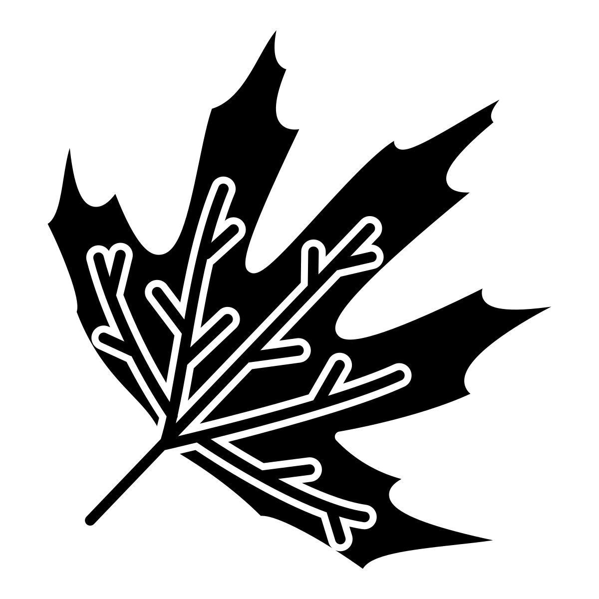 plane tree leaf icon