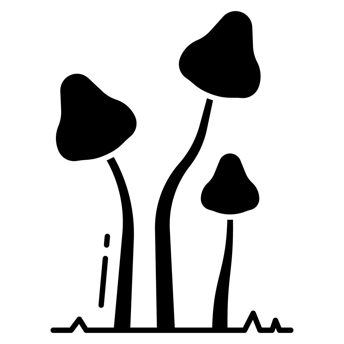 psilocybe semilanceata icon