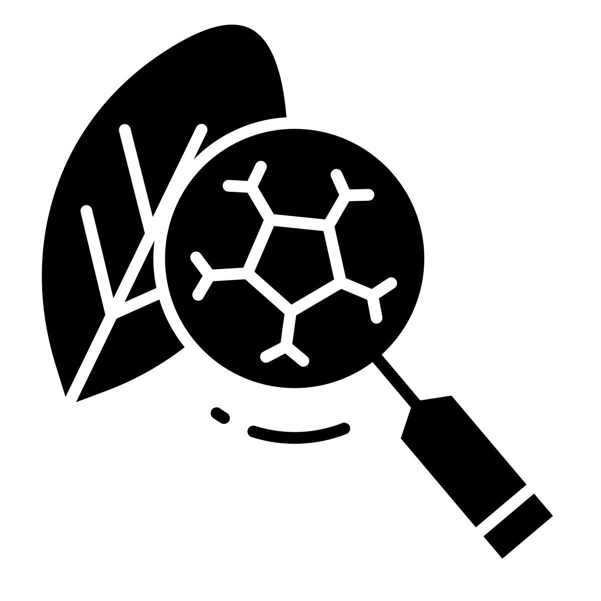 research icon