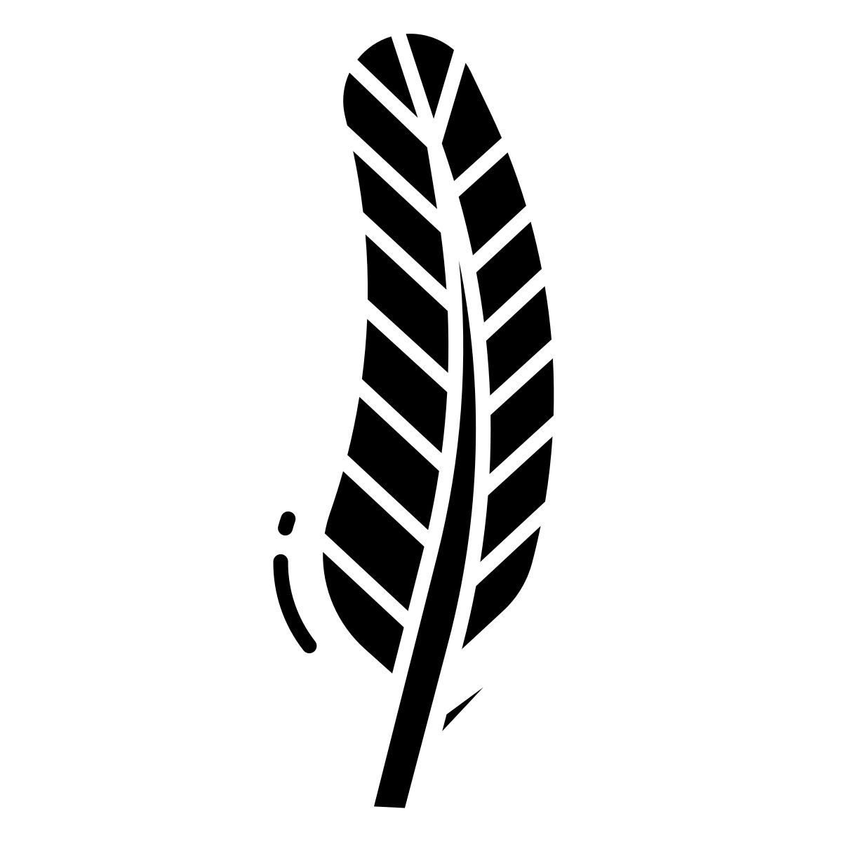 robin feather icon