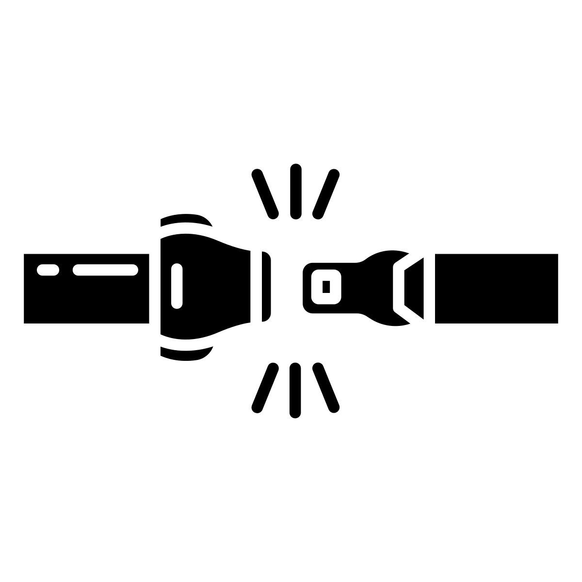 seatbelt icon