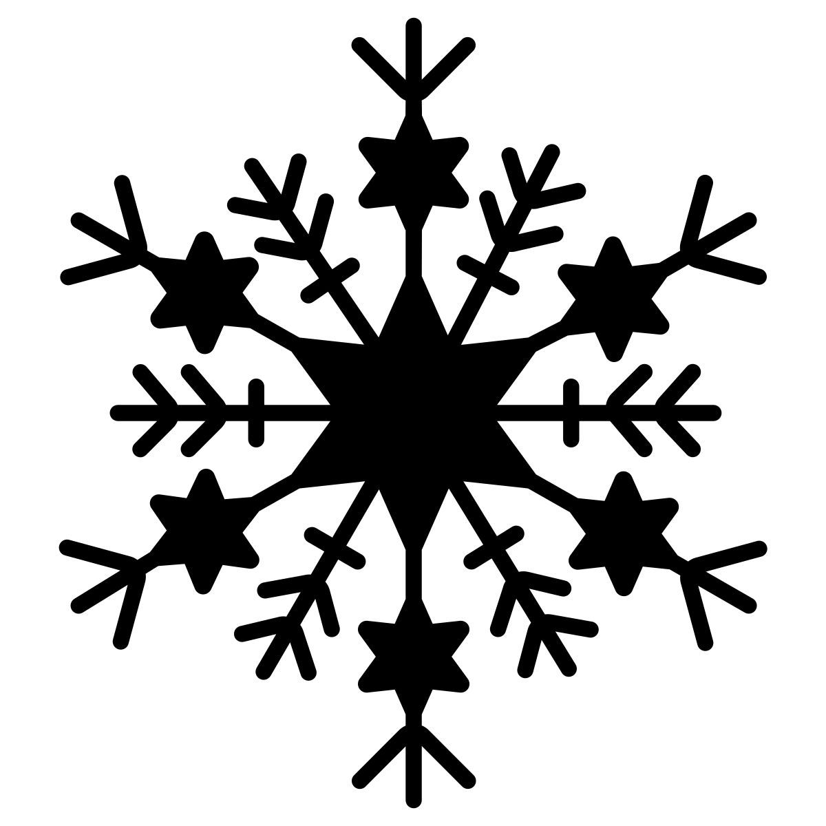snowflake icon