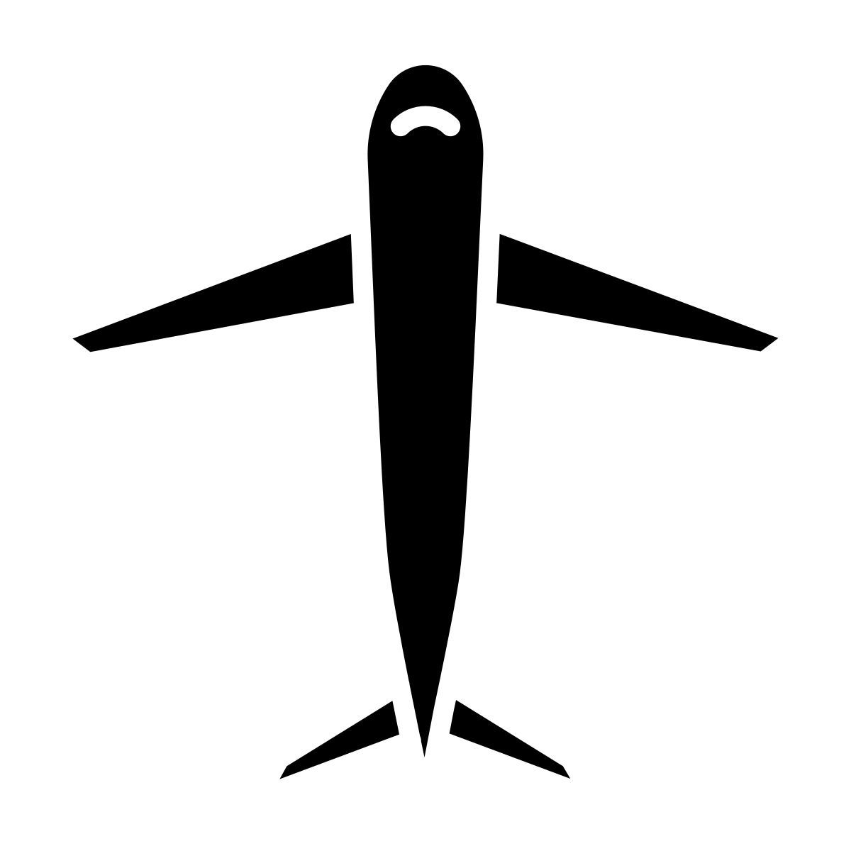 airplane icon
