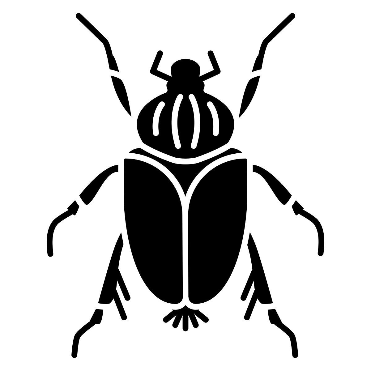 beetle icon
