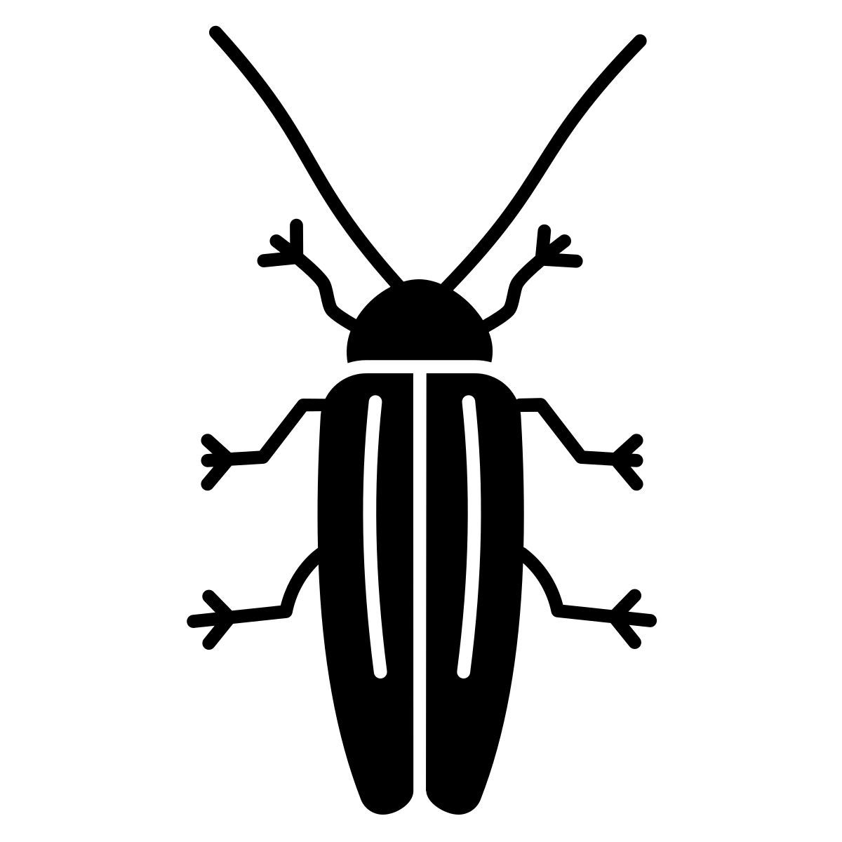 beetle icon