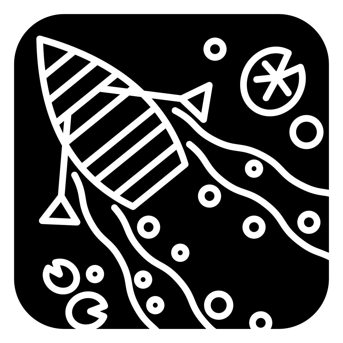 boat icon