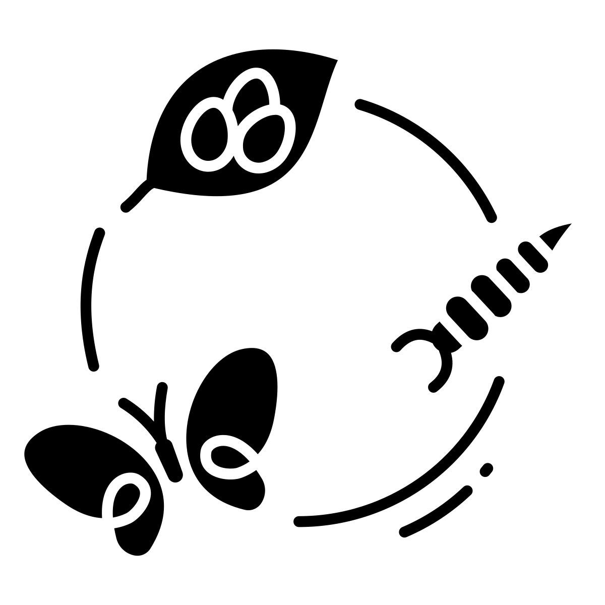 蝴蝶 icon