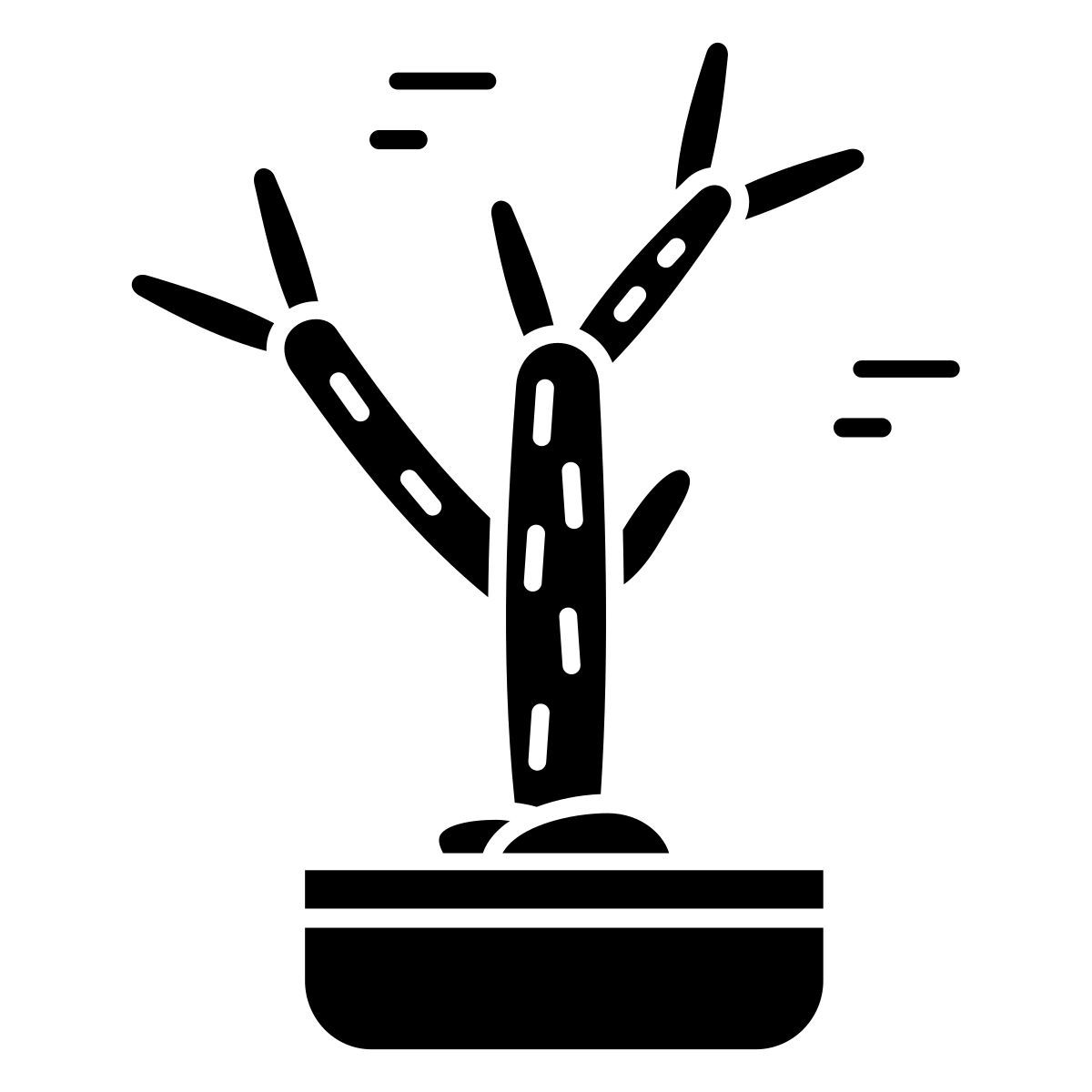 cactus icon