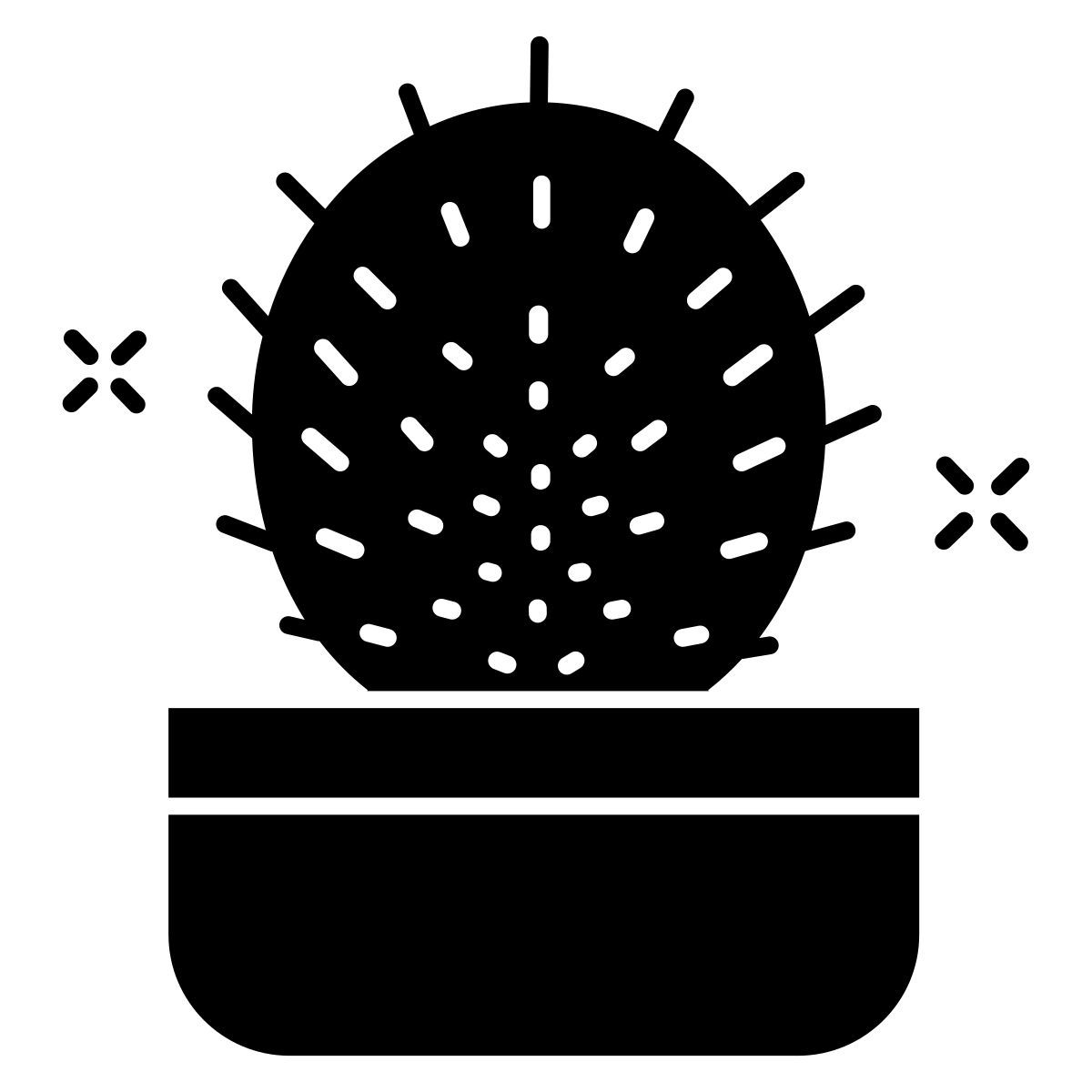 cactus icon