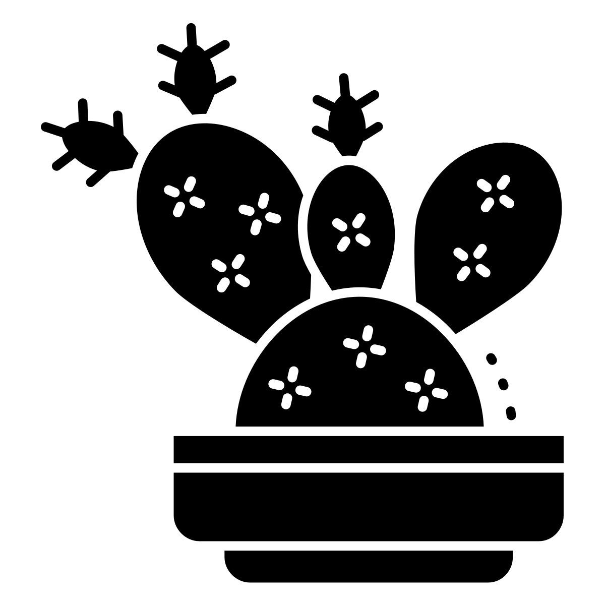 cactus icon
